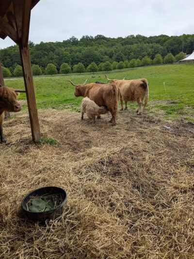June Farms - West Sand Lake, NY