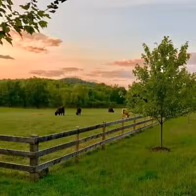 June Farms - West Sand Lake, NY
