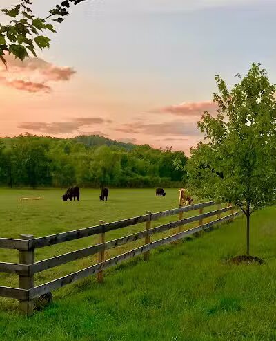 June Farms - West Sand Lake, NY