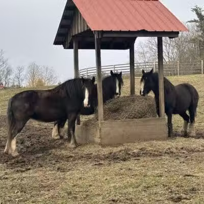 June Farms - West Sand Lake, NY