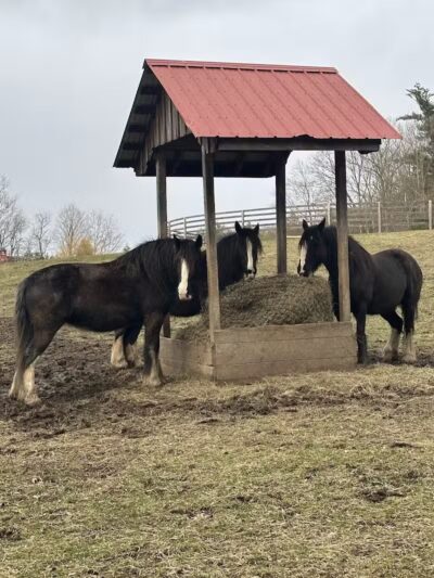 June Farms - West Sand Lake, NY