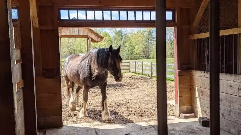 June Farms - West Sand Lake, NY