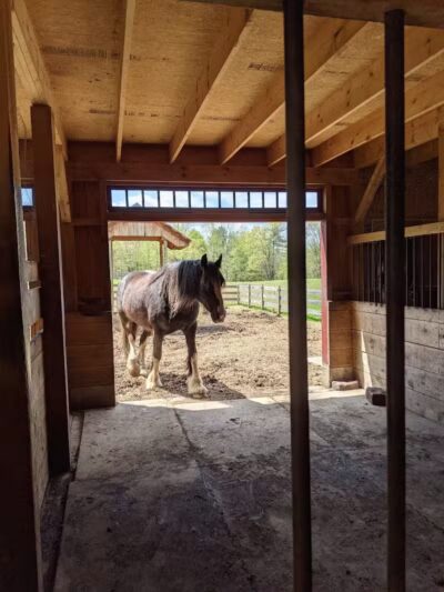 June Farms - West Sand Lake, NY