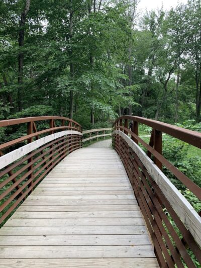 Bagg Brook Heritage Trail - West Springfield, MA