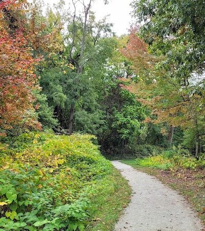 Bagg Brook Heritage Trail - West Springfield, MA