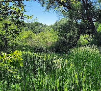 Bagg Brook Heritage Trail - West Springfield, MA