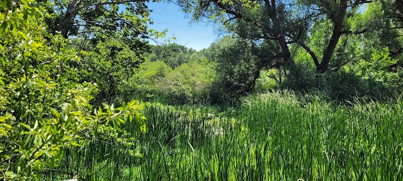 Bagg Brook Heritage Trail - West Springfield, MA
