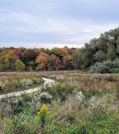 Bagg Brook Heritage Trail - West Springfield, MA