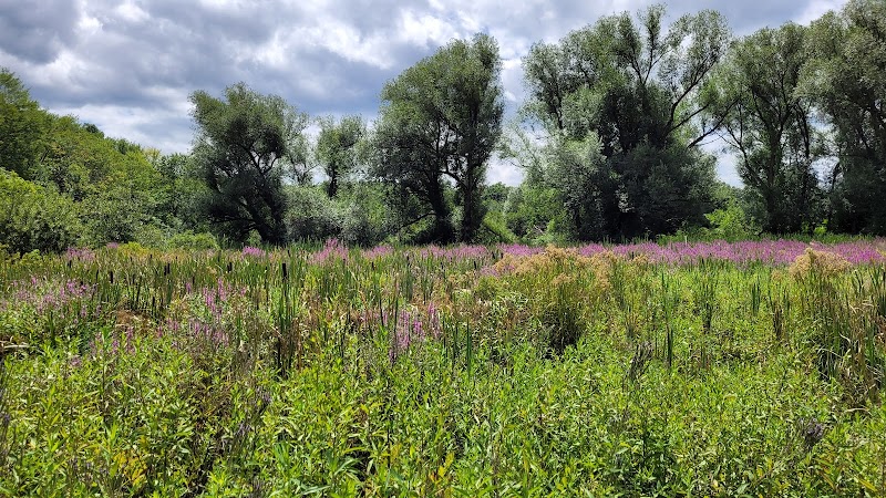 Bagg Brook Heritage Trail - West Springfield, MA