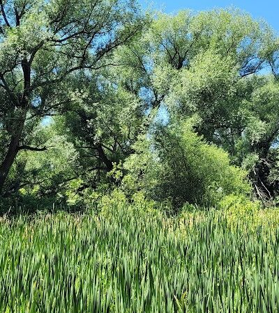 Bagg Brook Heritage Trail - West Springfield, MA