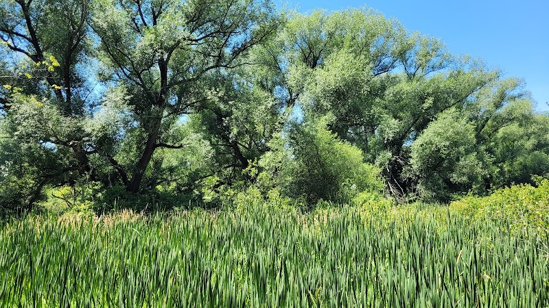 Bagg Brook Heritage Trail - West Springfield, MA