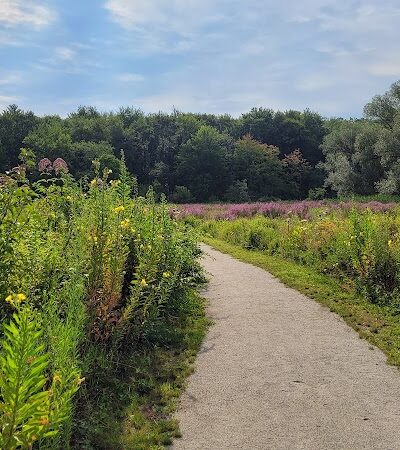 Bagg Brook Heritage Trail - West Springfield, MA