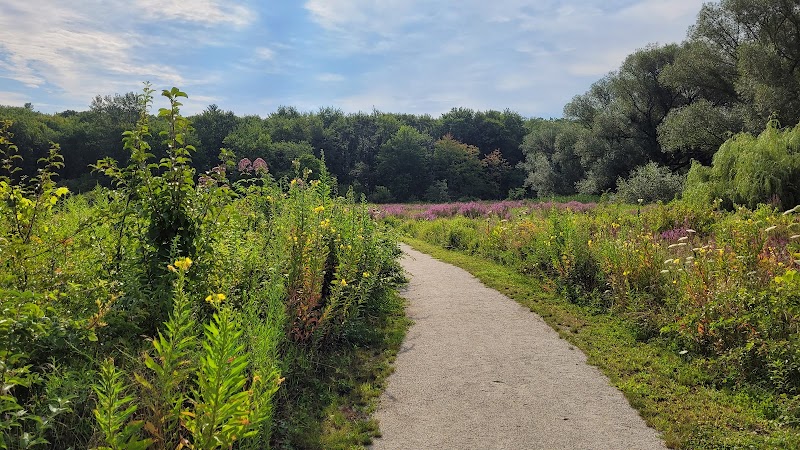 Bagg Brook Heritage Trail - West Springfield, MA