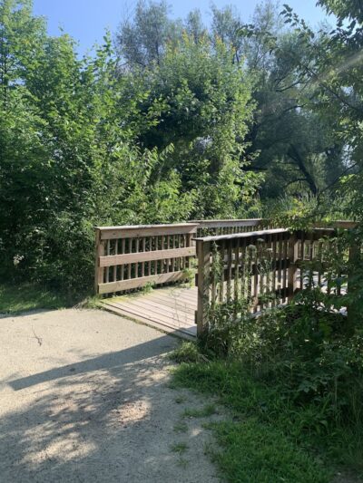 Bagg Brook Heritage Trail - West Springfield, MA