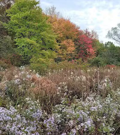 Bagg Brook Heritage Trail - West Springfield, MA