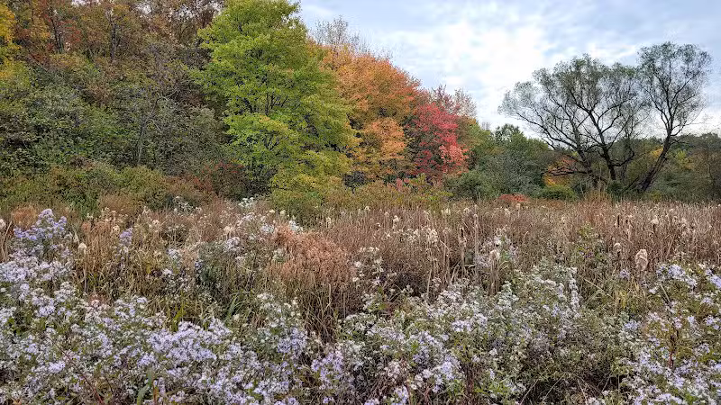 Bagg Brook Heritage Trail - West Springfield, MA