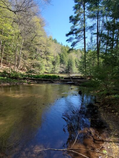 Bear Hole Reservoir Parking - West Springfield, MA