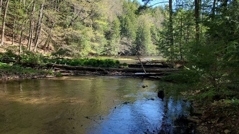 Bear Hole Reservoir Parking - West Springfield, MA