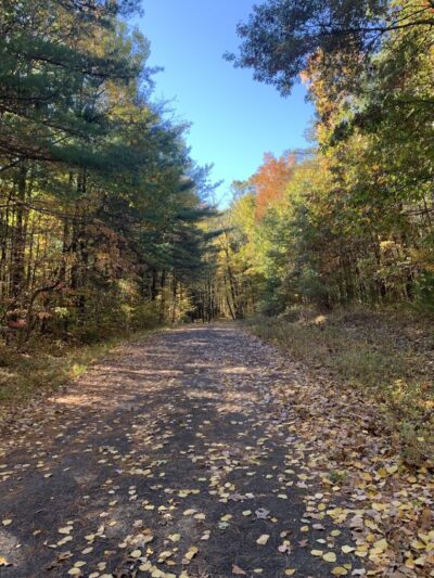 Bear Hole Reservoir Parking - West Springfield, MA