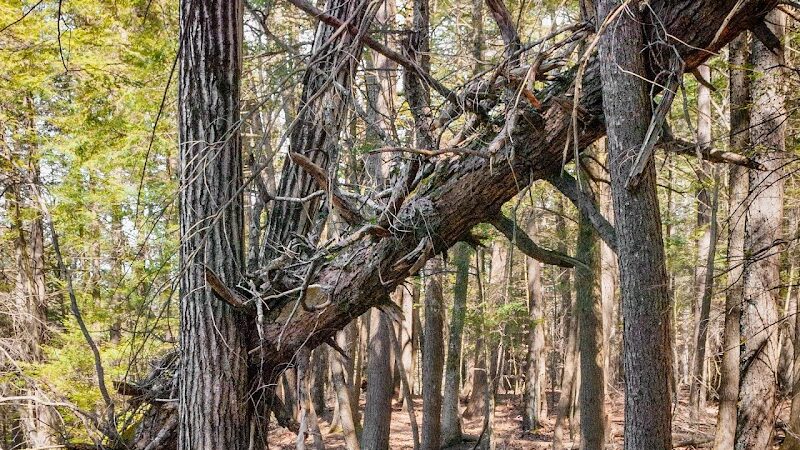 Bear Hole Reservoir Parking - West Springfield, MA