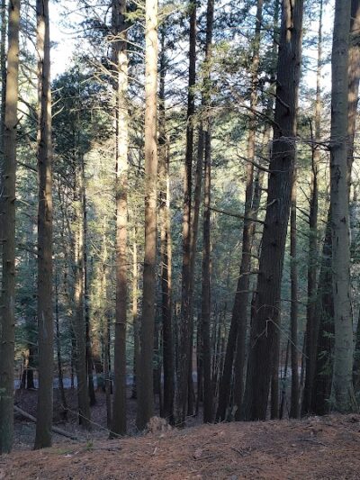 Bear Hole Reservoir Parking - West Springfield, MA