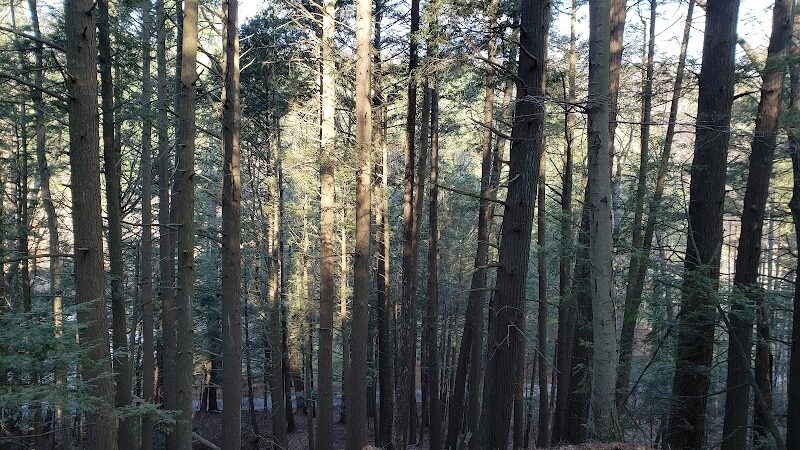 Bear Hole Reservoir Parking - West Springfield, MA
