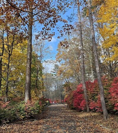 Mittineague Park - West Springfield, MA