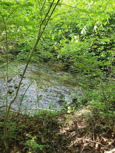 Mittineague Park - West Springfield, MA