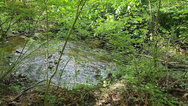 Mittineague Park - West Springfield, MA