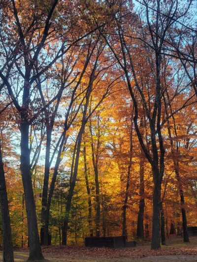 Mittineague Park - West Springfield, MA