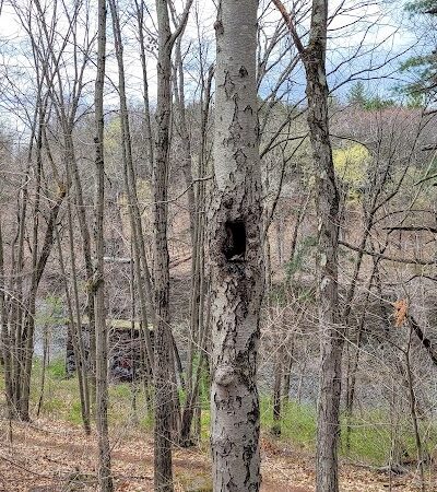 Mittineague Park - West Springfield, MA