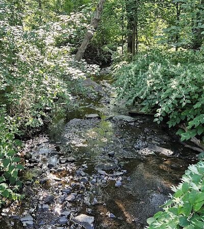 Mittineague Park - Conservation area - West Springfield, MA