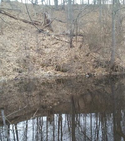 Mittineague Park - Conservation area - West Springfield, MA