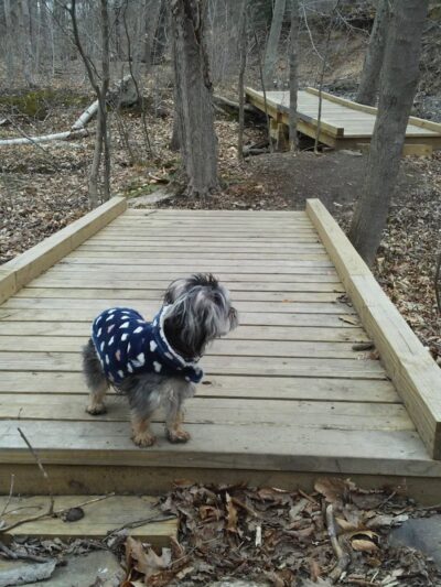 Mittineague Park - Conservation area - West Springfield, MA