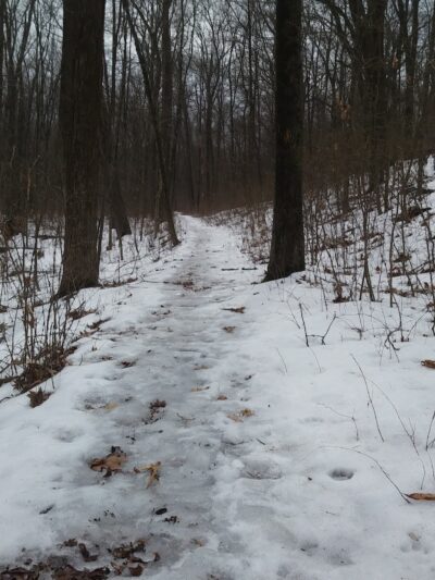 Mittineague Park - Conservation area - West Springfield, MA
