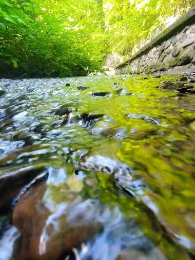 Mittineague Park - West Springfield, MA