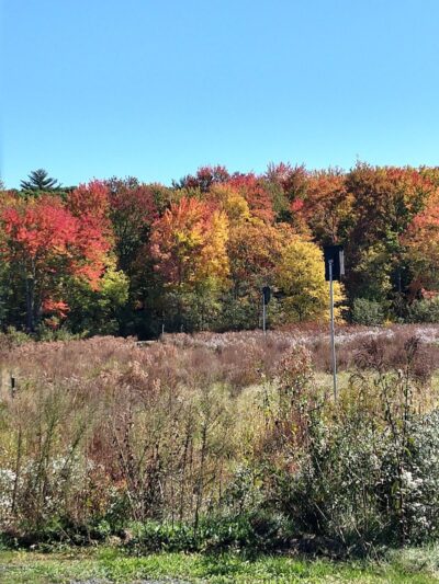 Morgan Road Pavilion - West Springfield, MA