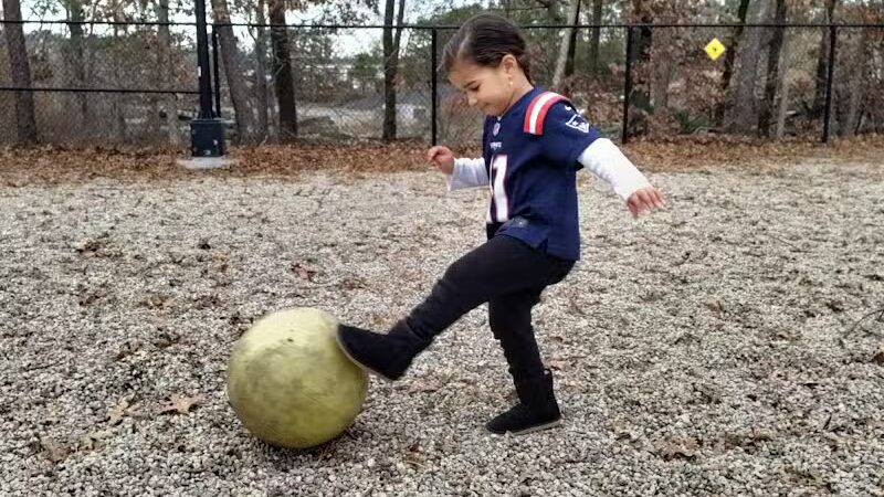 Yarmouth Dog Park - West Yarmouth, MA