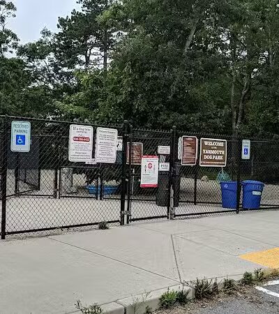 Yarmouth Dog Park - West Yarmouth, MA