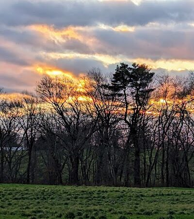 Tufts Farm Field - Westborough, MA