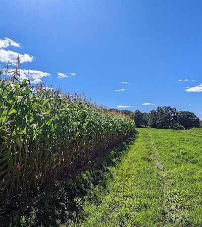 Tufts Farm Field - Westborough, MA
