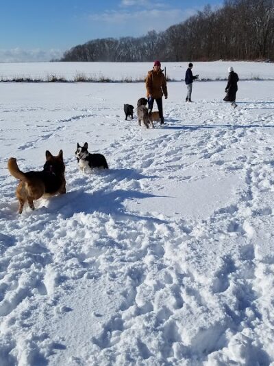 Tufts Farm Field - Westborough, MA