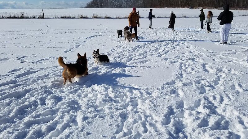 Tufts Farm Field - Westborough, MA