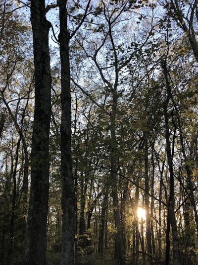 Tufts Farm Field - Westborough, MA