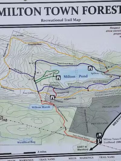 Milton Town Forest - Westford, VT