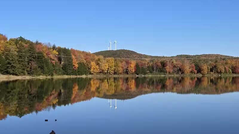 Milton Town Forest - Westford, VT