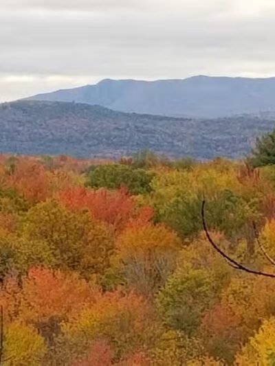 Milton Town Forest - Westford, VT