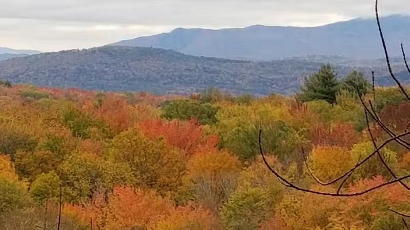 Milton Town Forest - Westford, VT