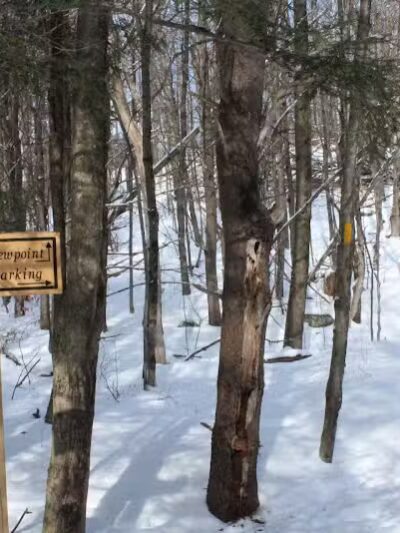 Milton Town Forest - Westford, VT