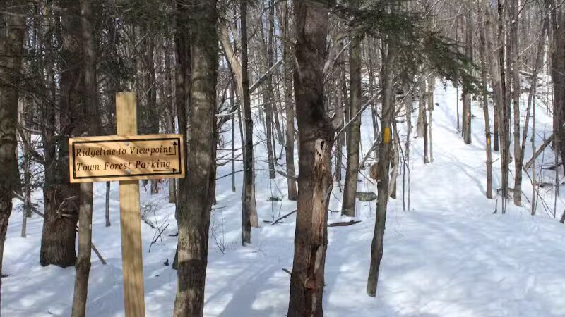 Milton Town Forest - Westford, VT